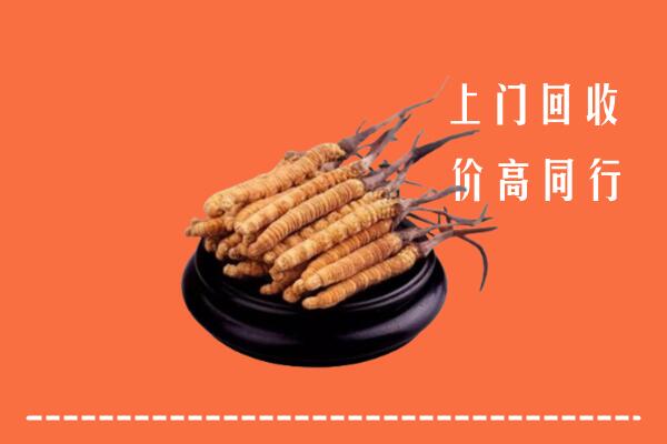 高价求购：安康回收散虫草