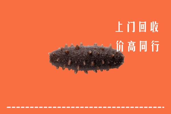 安康回收海参